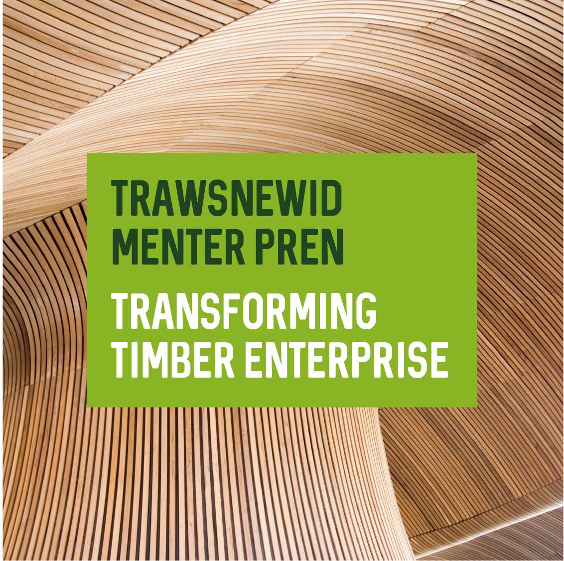 timber business investment scheme wales